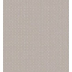 Coquette Dots 228113