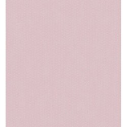 Coquette Dots 228114