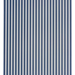 Raya Singer Birds 229255