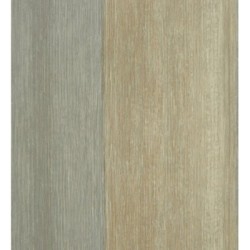 Papel pintado Raya Areca 230186