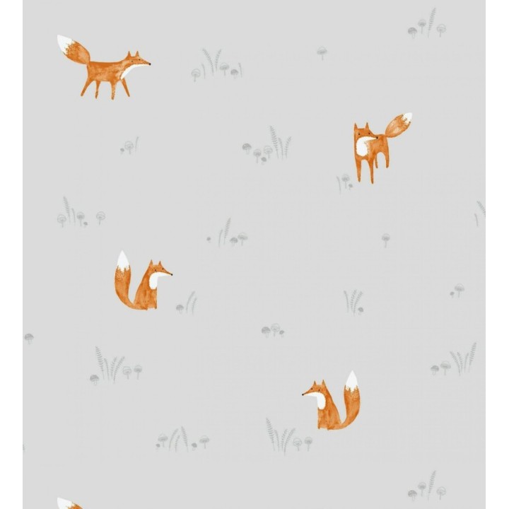 Foxes 232133