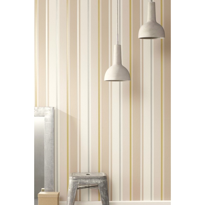 Papel pintado moderno rayas disimétricas - Raya Vuillard 341848