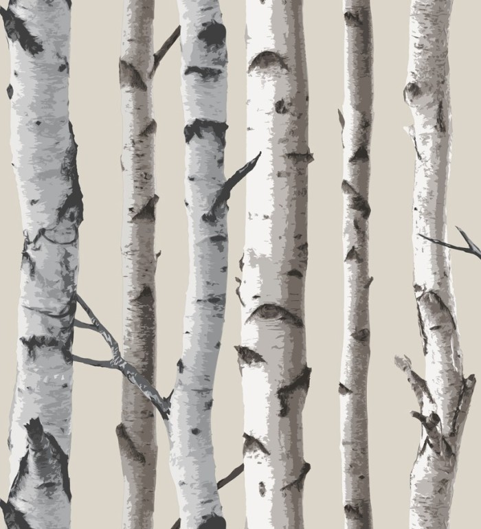 Papel pintado troncos de árboles de bosque nórdico - Nordic Nature 421567