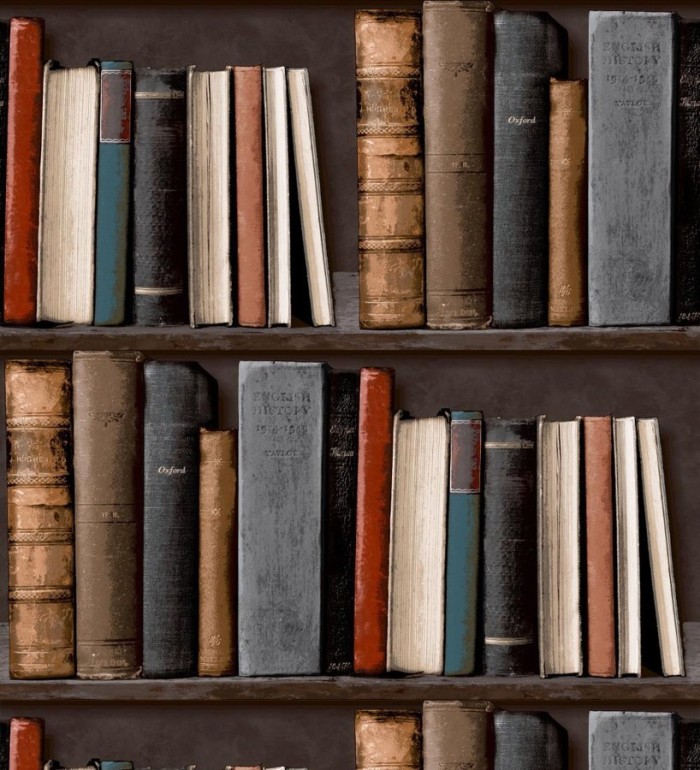 Papel pintado estantería de libros antiguos - Classic Novels 421593