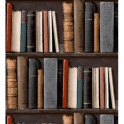 Classic Novels 421593