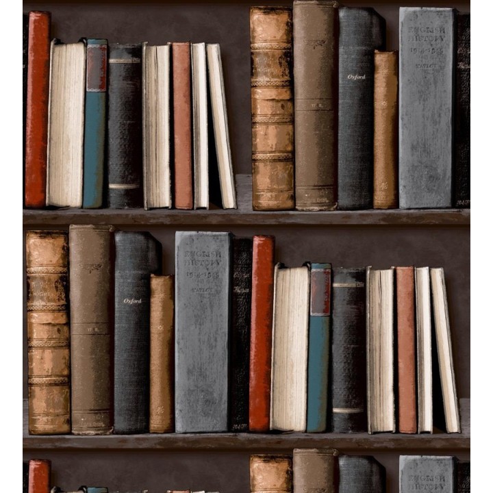 Papel pintado estantería de libros antiguos - Classic Novels 421593