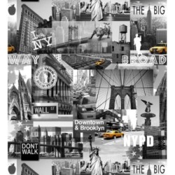 NY Inspiration 421599