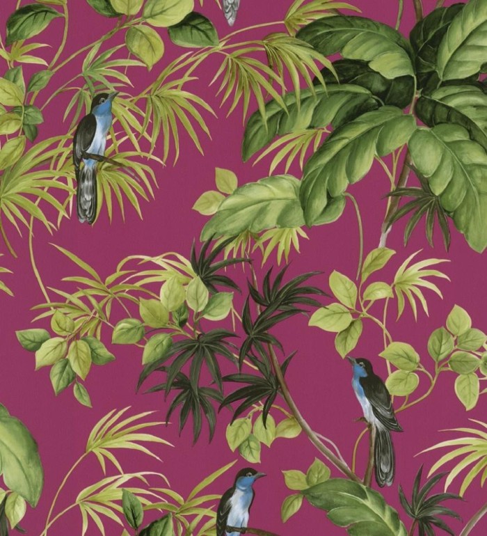 Papel pintado de pájaros y plantas tropicales - Tropical Birds 421606