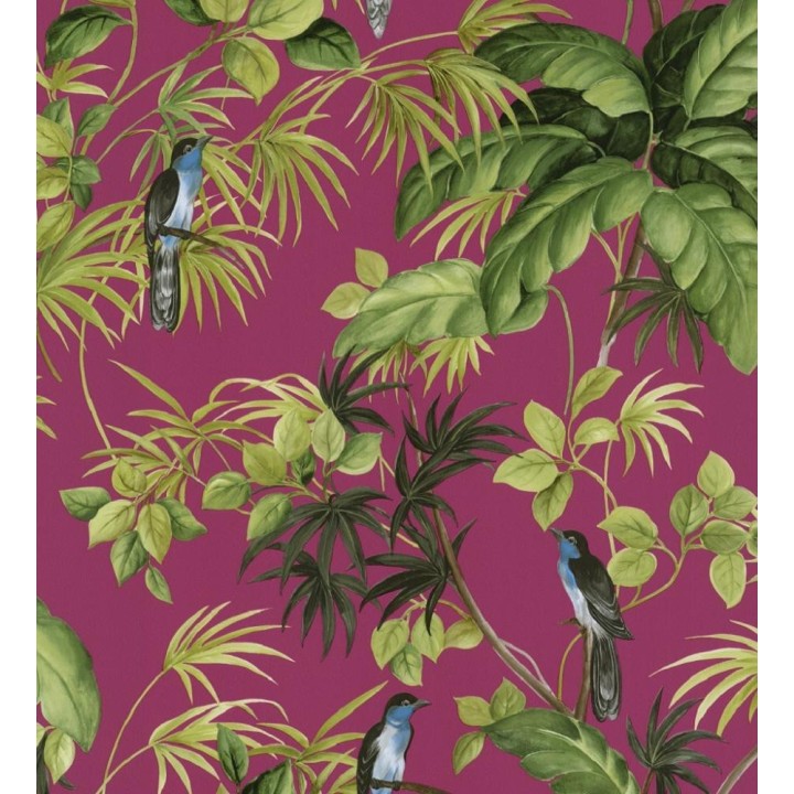 Papel pintado de pájaros y plantas tropicales - Tropical Birds 421606