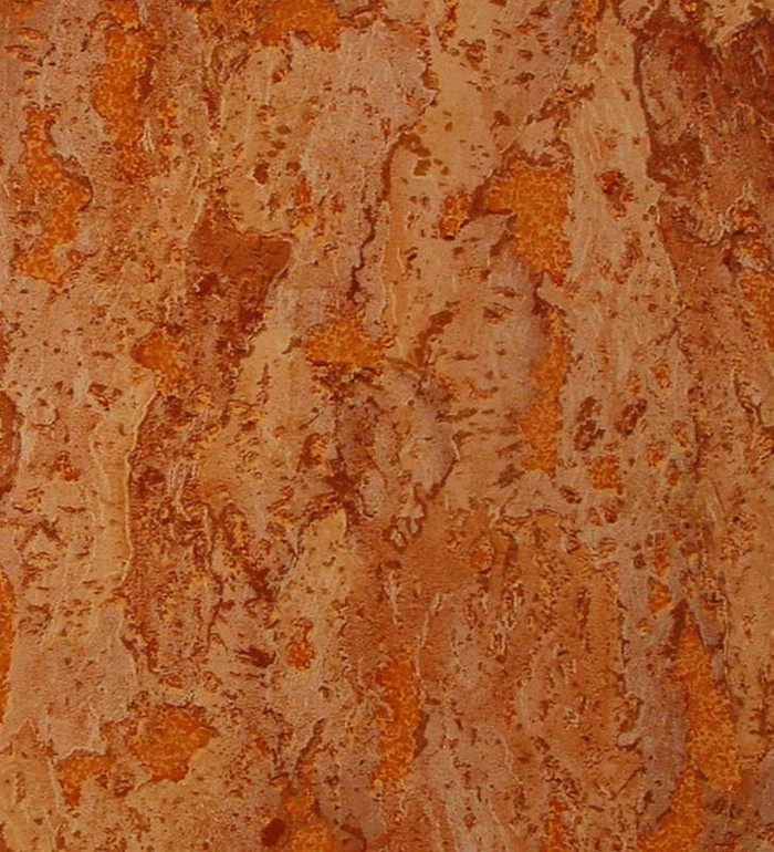 Papel pintado corteza de árbol natural rústica - Tiacere 52 453828