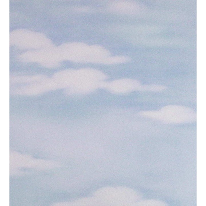 Papel pintado nubes artísticas - Rodin 453847