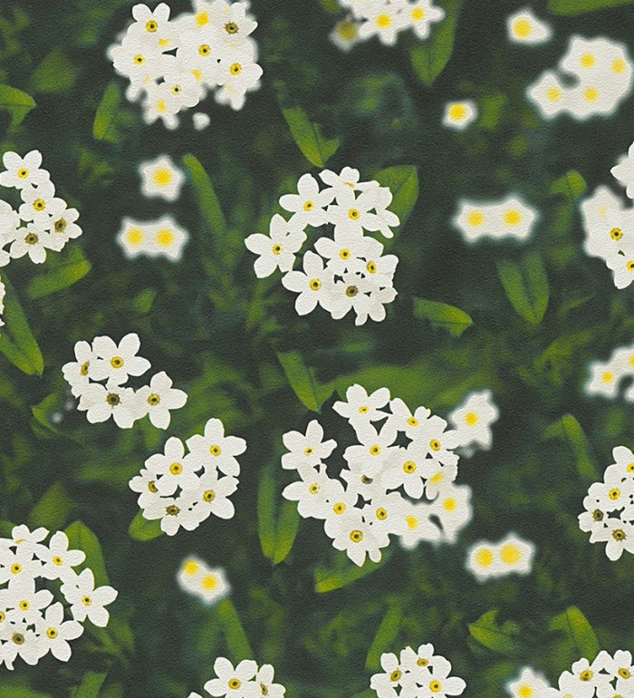 Papel pintado fotográfico margaritas campestres - Maristela 453904