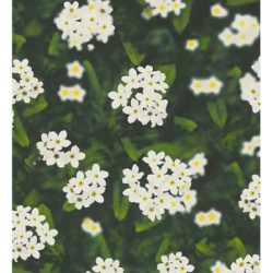 Papel pintado Maristela 453904