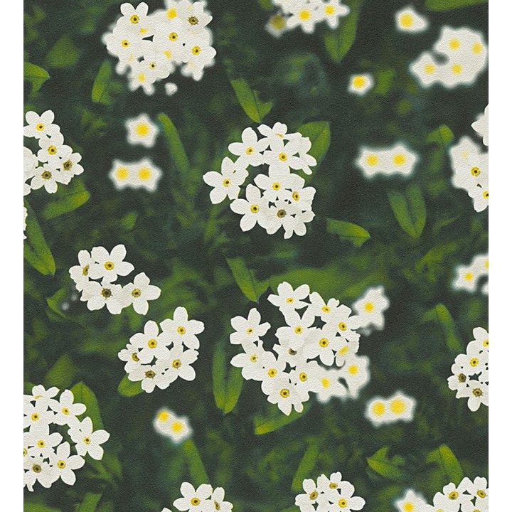 Papel pintado fotográfico margaritas campestres - Maristela 453904