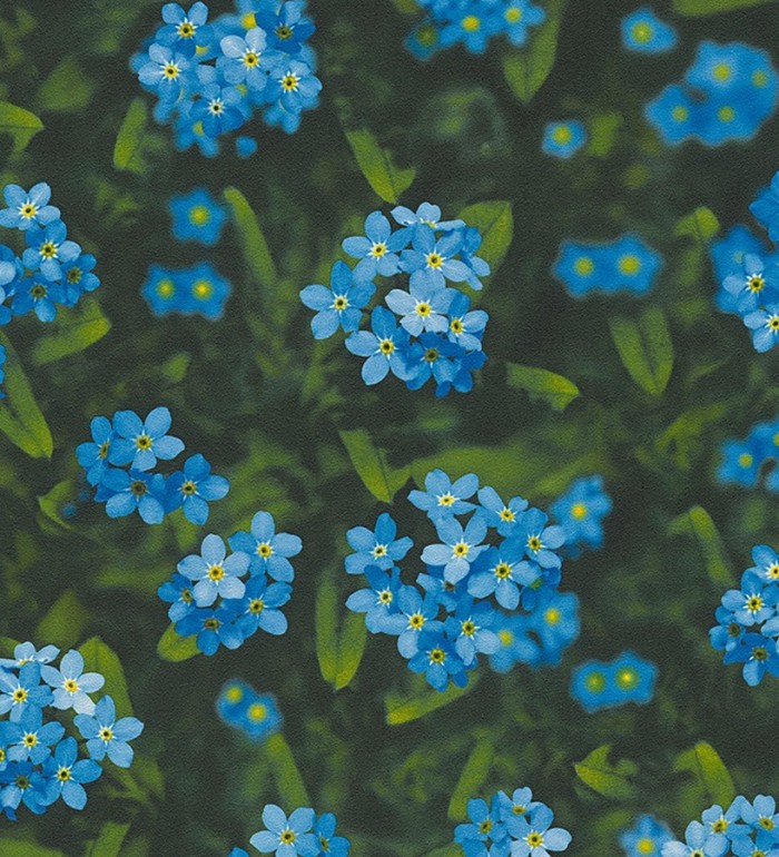 Papel pintado fotográfico margaritas campestres - Maristela 453905