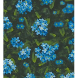 Papel pintado Maristela 453905