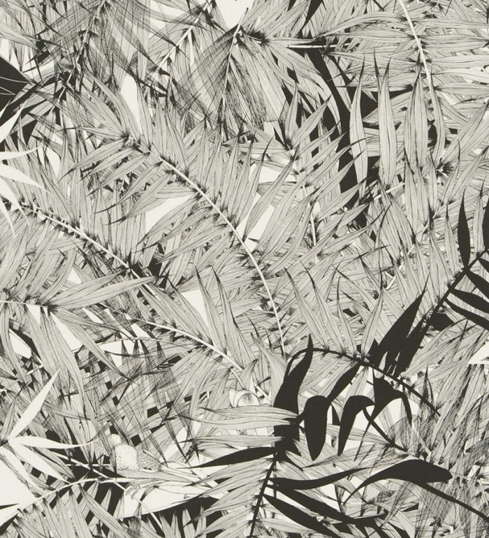 Papel pintado naturaleza de helechos - Brasilia 563878