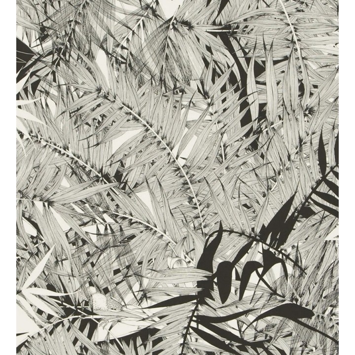 Papel pintado naturaleza de helechos - Brasilia 563878