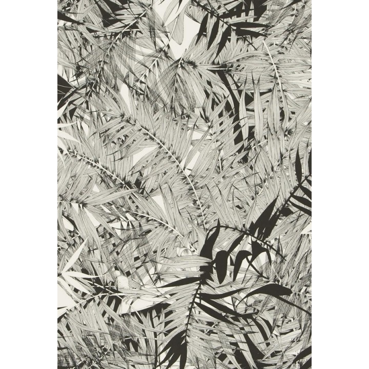 Papel pintado naturaleza de helechos - Brasilia 563878