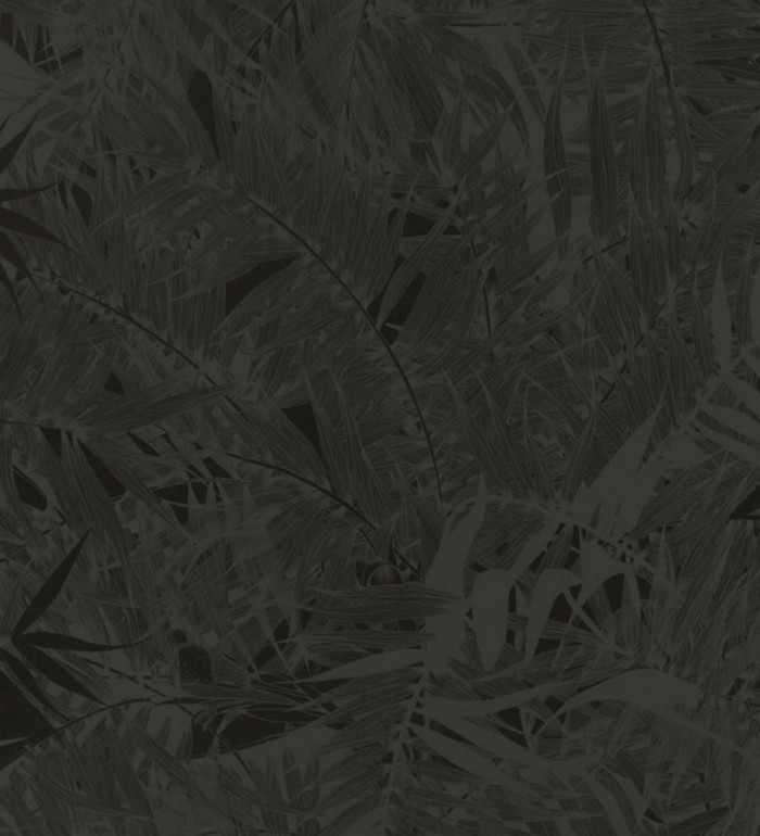 Papel pintado naturaleza de helechos - Brasilia 563879