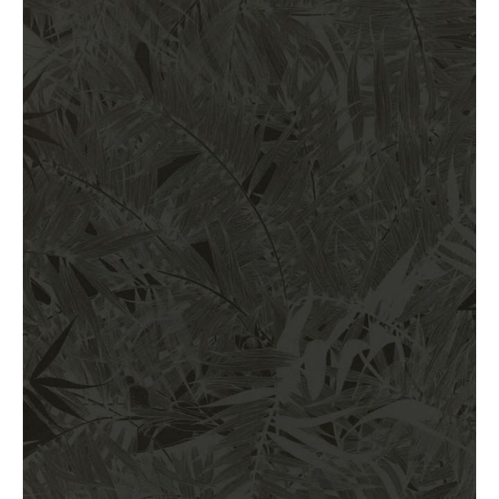 Papel pintado naturaleza de helechos - Brasilia 563879