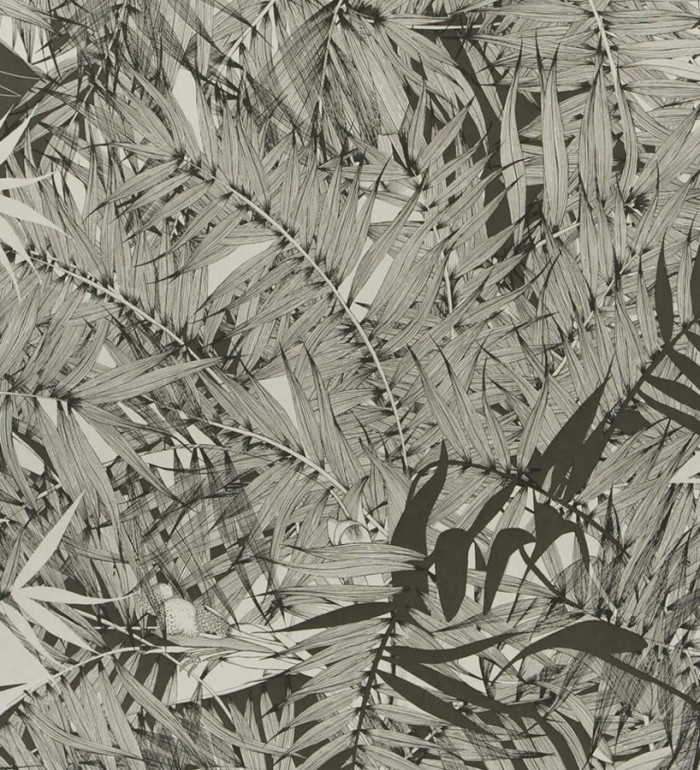 Papel pintado naturaleza de helechos - Brasilia 563880