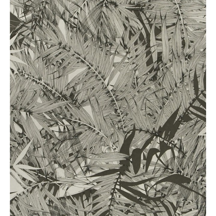 Papel pintado naturaleza de helechos - Brasilia 563880