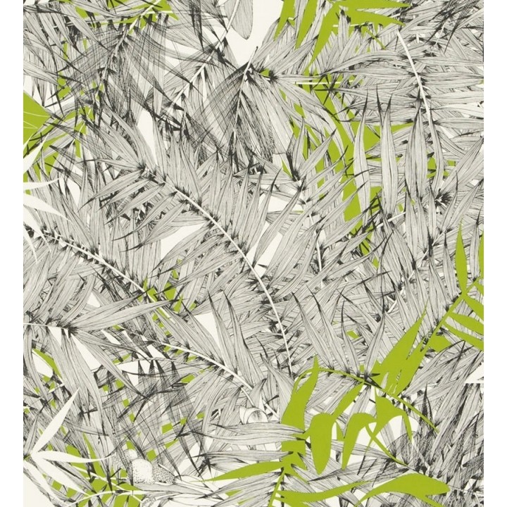 Papel pintado naturaleza de helechos - Brasilia 563884