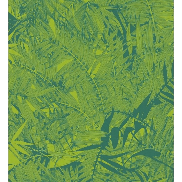 Papel pintado naturaleza de helechos - Brasilia 563885