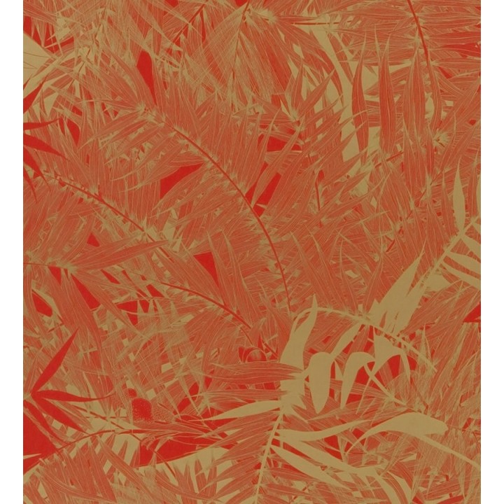 Papel pintado naturaleza de helechos - Brasilia 563886