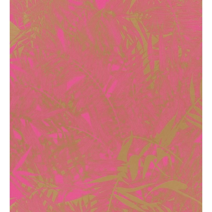 Papel pintado naturaleza de helechos - Brasilia 563887