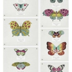 Papel pintado Butterflies Collection 564464