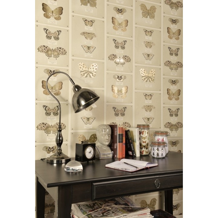 Papel pintado colección de mariposas vintage - Butterflies Collection 564465