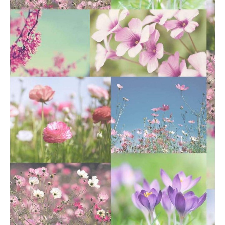 Papel pintado fotográfico naturaleza de flores - Wild Spring 564497