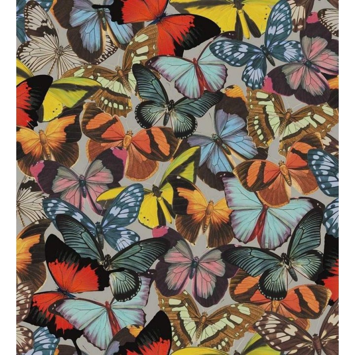 Papel pintado mariposas románticas multicolor - Romantic Butterflies 564504