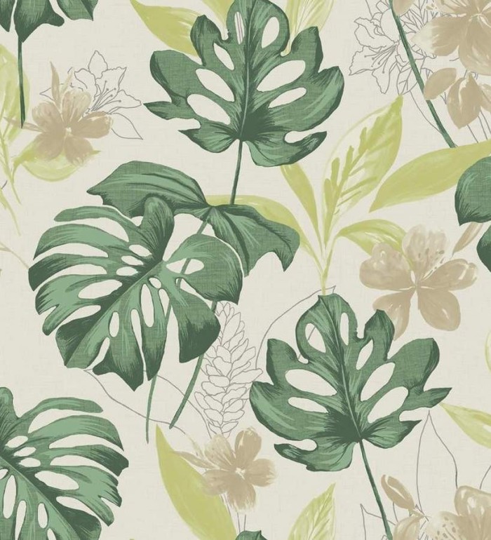 Papel pintado tropical hojas de monstera verde - Darden 564569