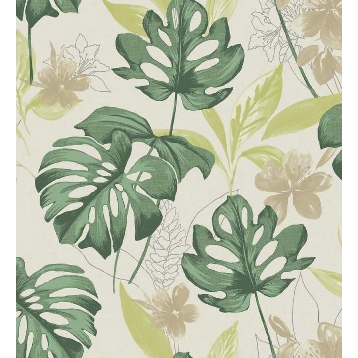 Papel pintado tropical hojas de monstera verde - Darden 564569