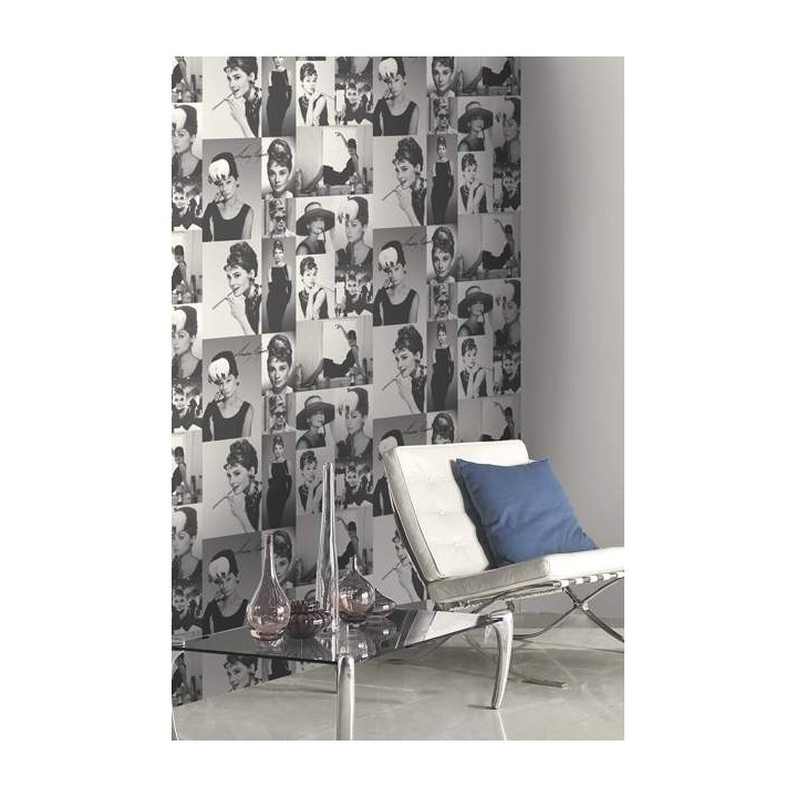 Audrey Hepburn 564616