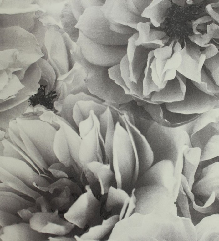 Papel pintado flores grandes vintage blanco y negro - Nereida 564675