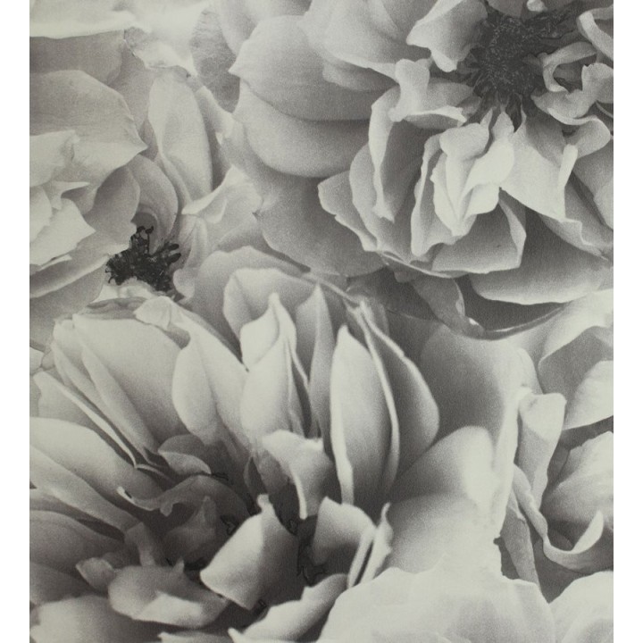 Papel pintado flores grandes vintage blanco y negro - Nereida 564675