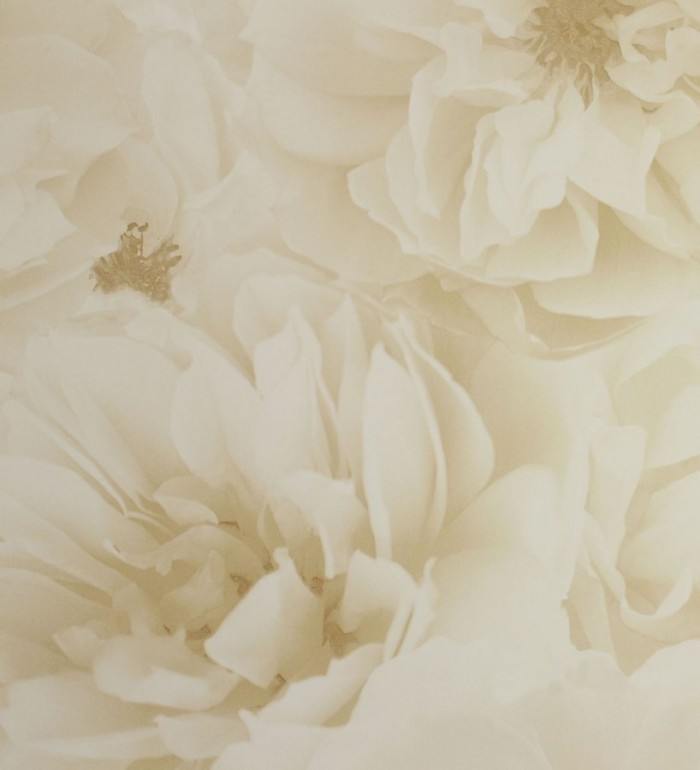 Papel pintado flores grandes vintage tonos sepia - Nereida 564676