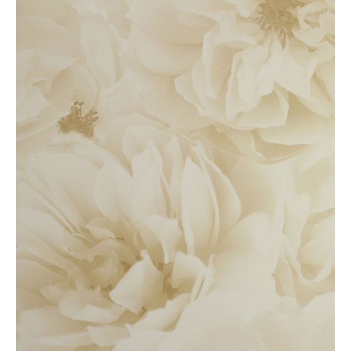 Papel pintado flores grandes vintage tonos sepia - Nereida 564676