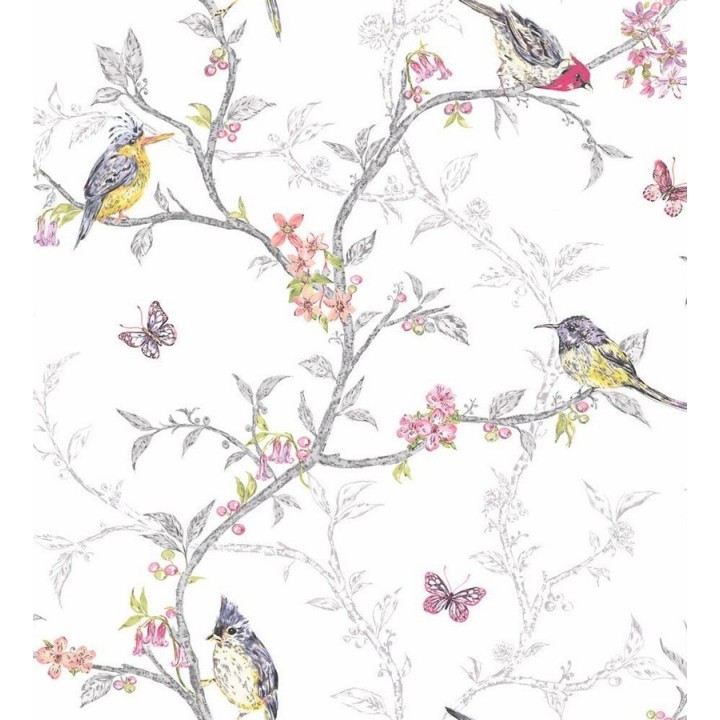 Papel pintado pájaros en ramas de árbol - Birdie 564683