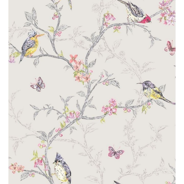 Papel pintado pájaros en ramas de árbol - Birdie 564684