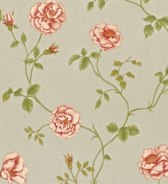 Papel pintado flor de tagete romántica - Linda 564902