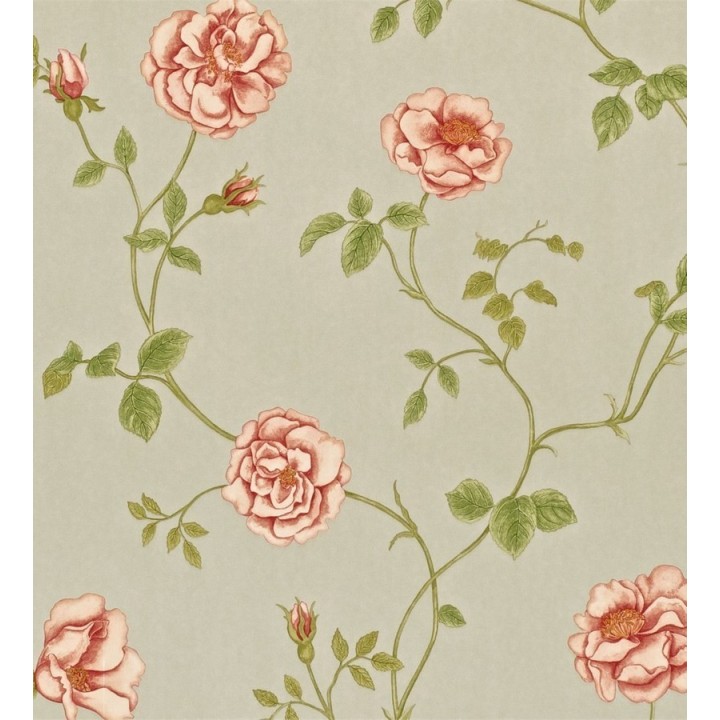 Papel pintado flor de tagete romántica - Linda 564902