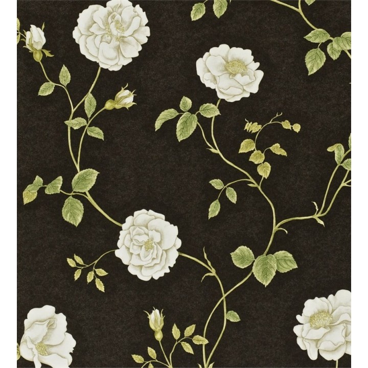 Papel pintado flor de tagete romántica - Linda 564903