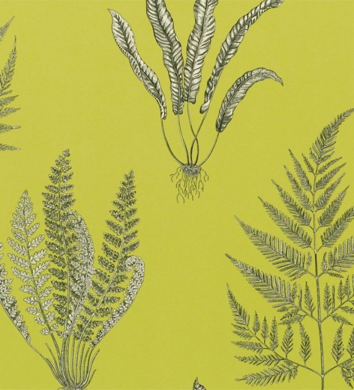 Papel pintado hojas de helechos inglesas - Georgette 564913