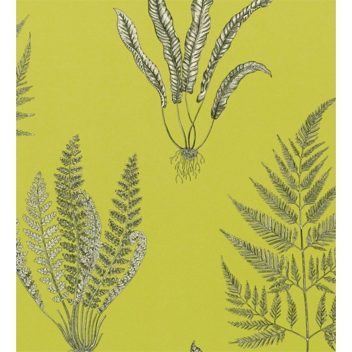 Papel pintado hojas de helechos inglesas - Georgette 564913