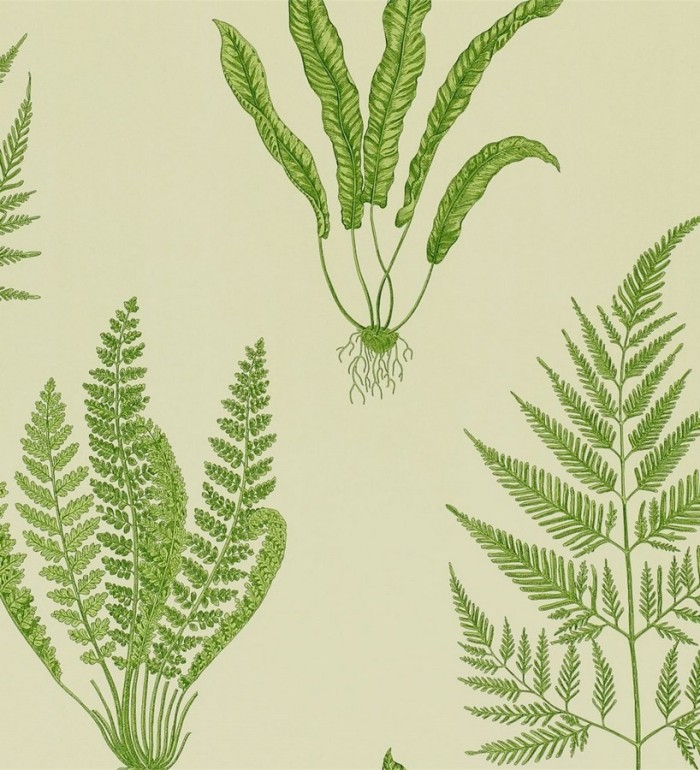 Papel pintado hojas de helechos inglesas - Georgette 564914